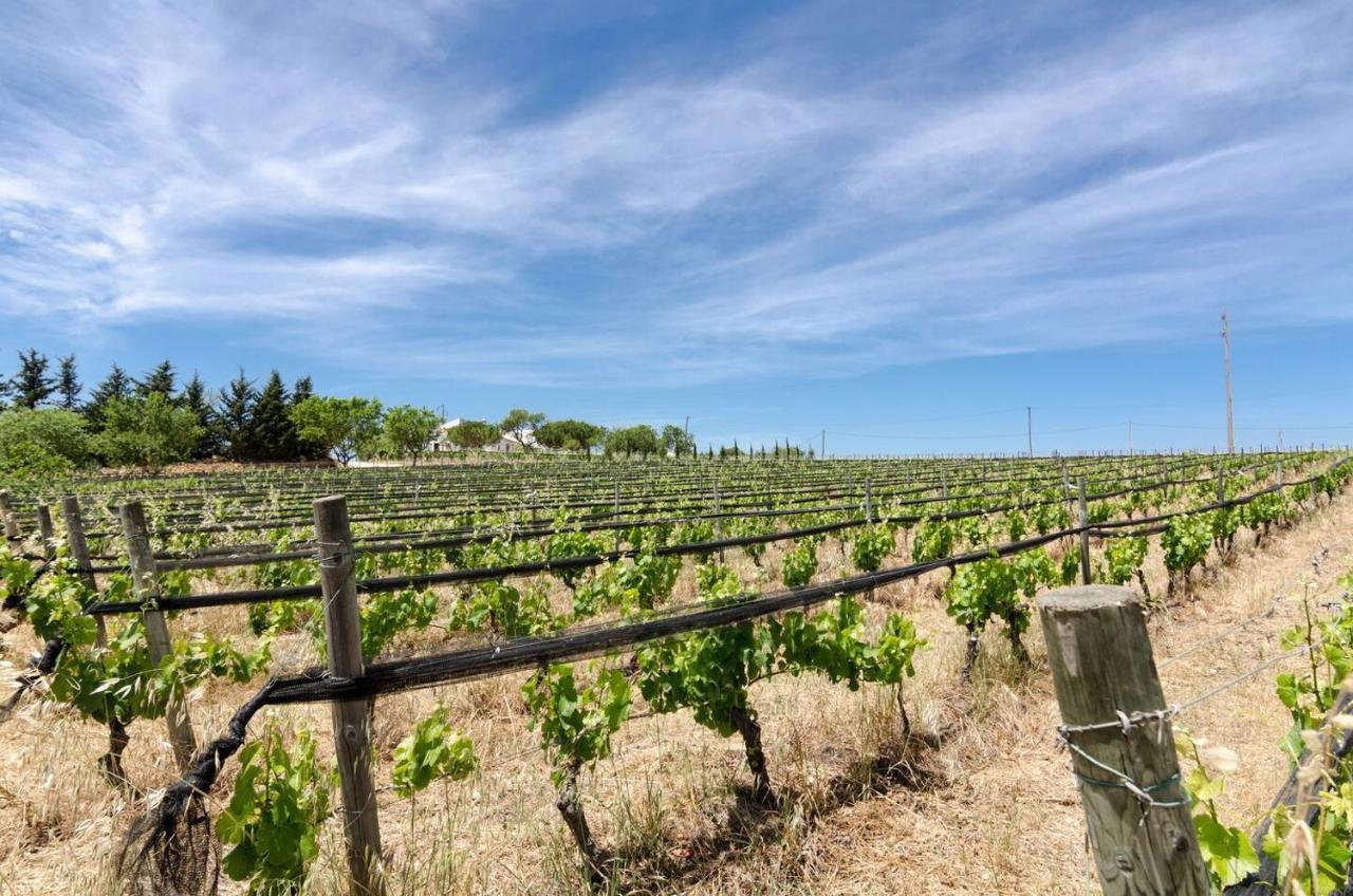 Casas Na Vinha - Monte Da Casteleja, Wine Estate - Eco Turismo Rural Lagos Eksteriør billede