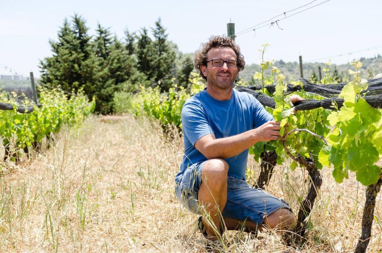 Casas Na Vinha - Monte Da Casteleja, Wine Estate - Eco Turismo Rural Lagos Eksteriør billede