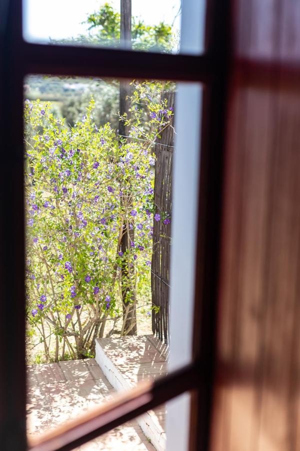 Casas Na Vinha - Monte Da Casteleja, Wine Estate - Eco Turismo Rural Lagos Eksteriør billede
