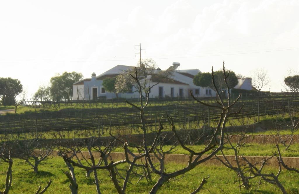Casas Na Vinha - Monte Da Casteleja, Wine Estate - Eco Turismo Rural Lagos Eksteriør billede