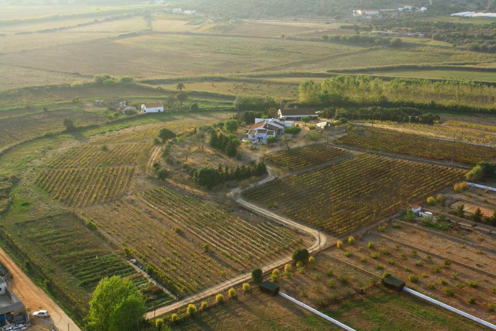Casas Na Vinha - Monte Da Casteleja, Wine Estate - Eco Turismo Rural Lagos Eksteriør billede